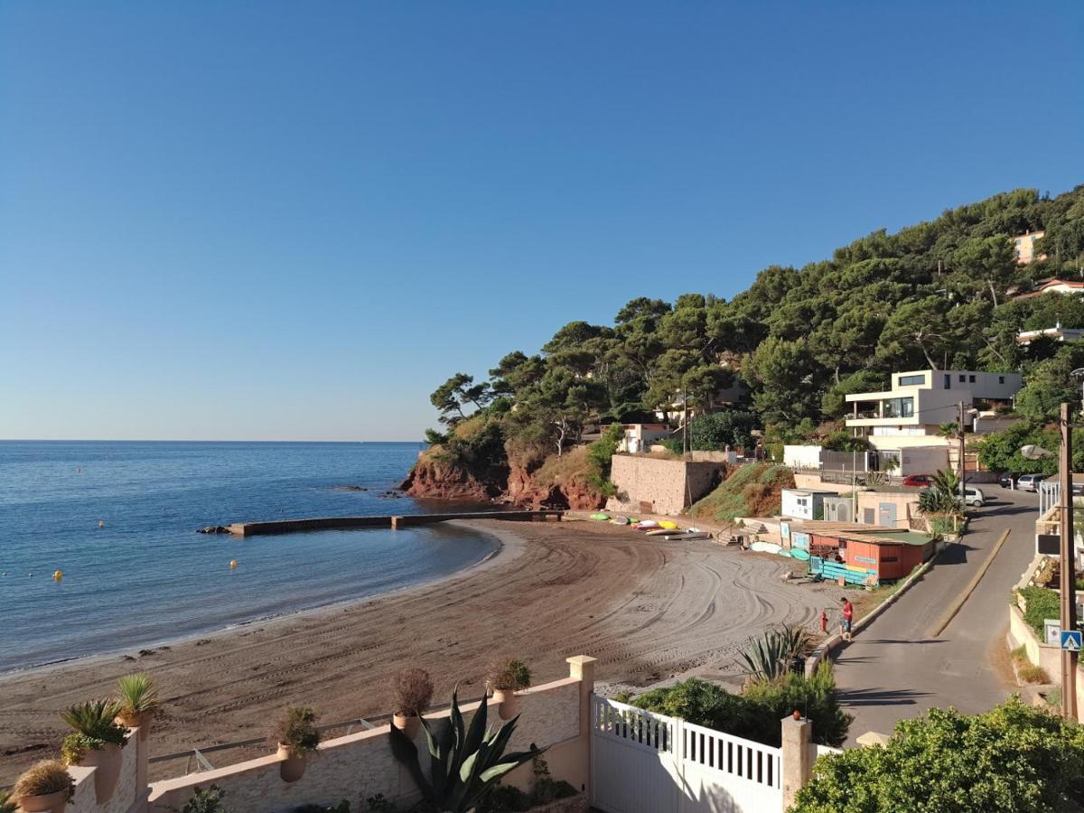 Loft Climatise "La Pinede", 50 M2, Tres Calme, 5 Mn A Pied Des Plages, Lit King Size La Seyne-sur-Mer Kültér fotó